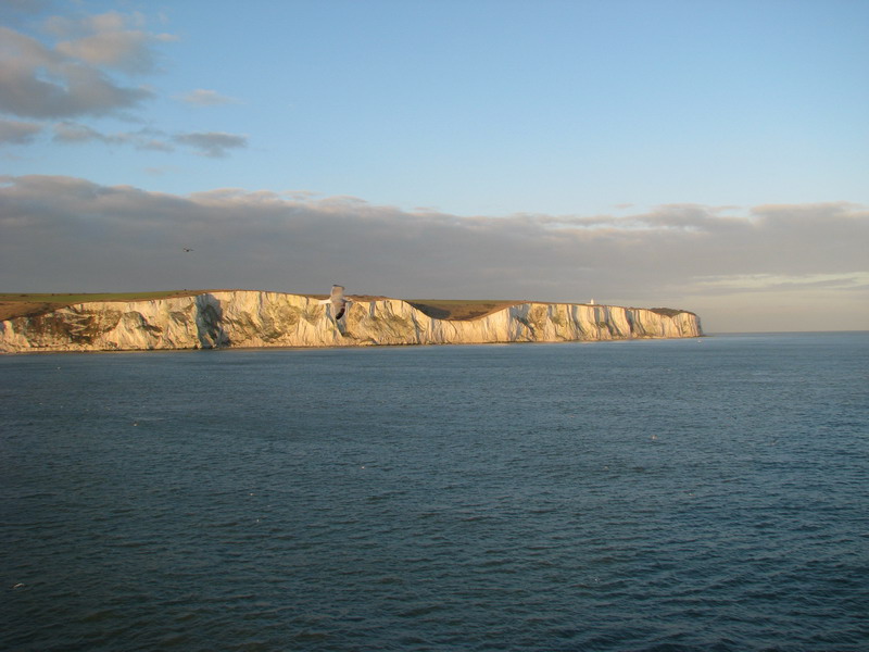 Seagull over - the white cliffs of Dover